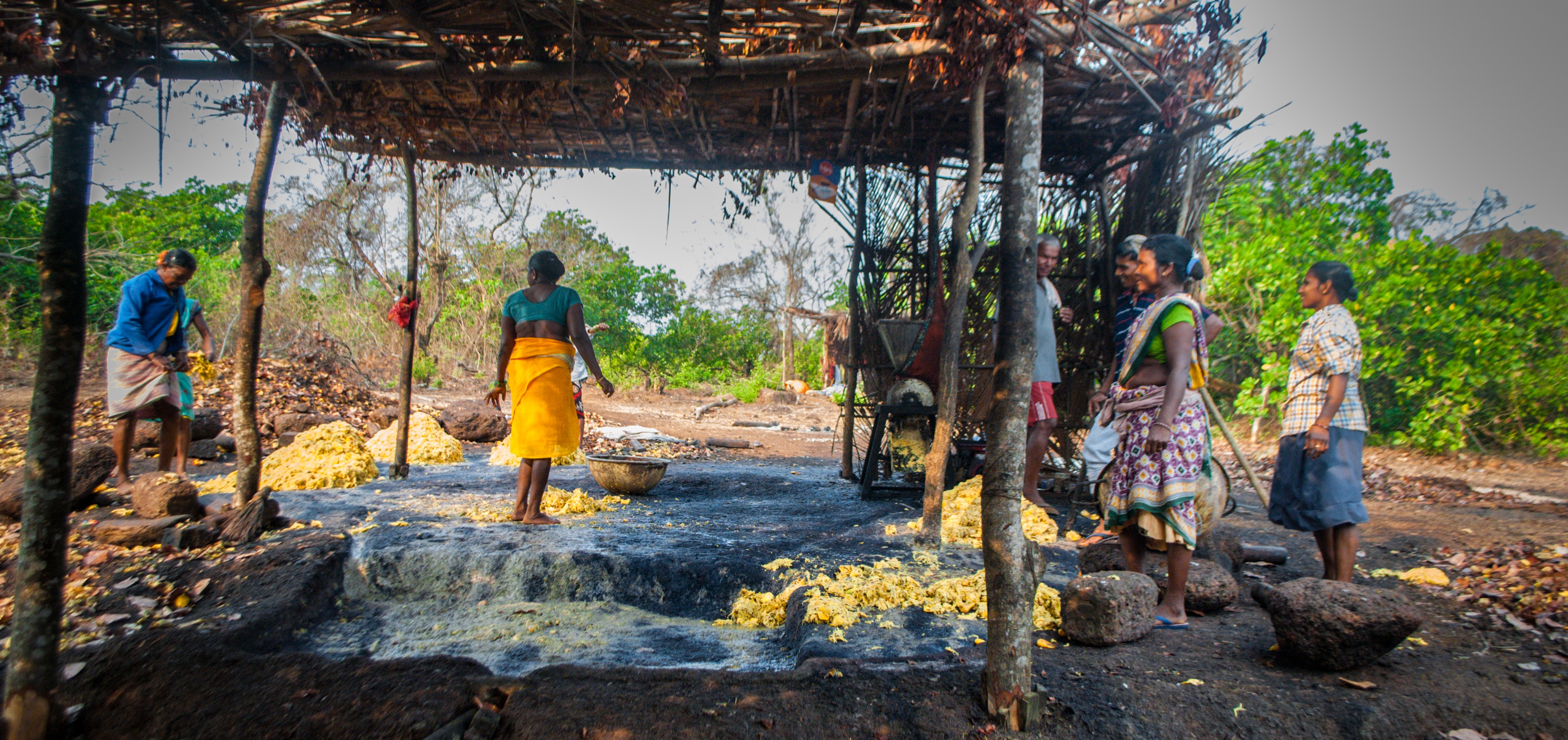 WHAT'S SPECIAL ABOUT GOAN CASHEW NUTS?