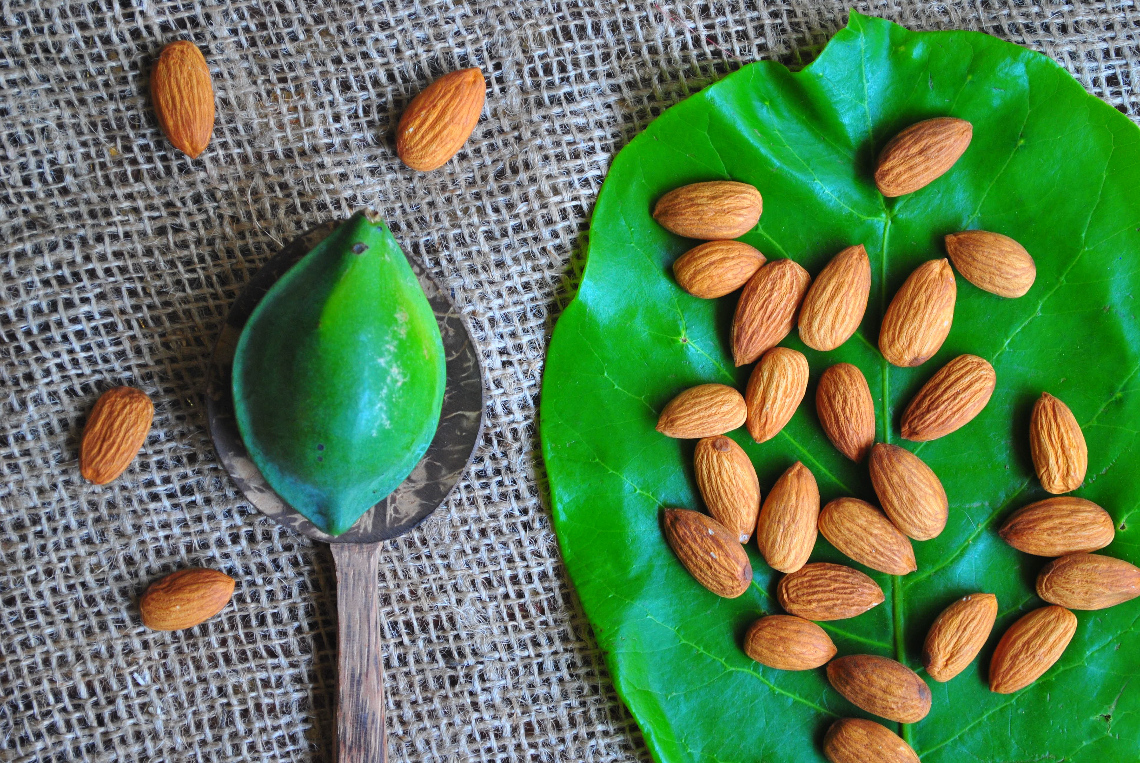 5 Delicious Ways of Making Almonds a Healthy Part of Your Diet